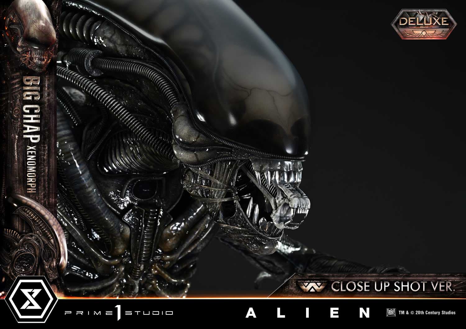 Big Chap Xenomorph (Version Deluxe Bonus) - Museum Masterline XL - Vue 70
