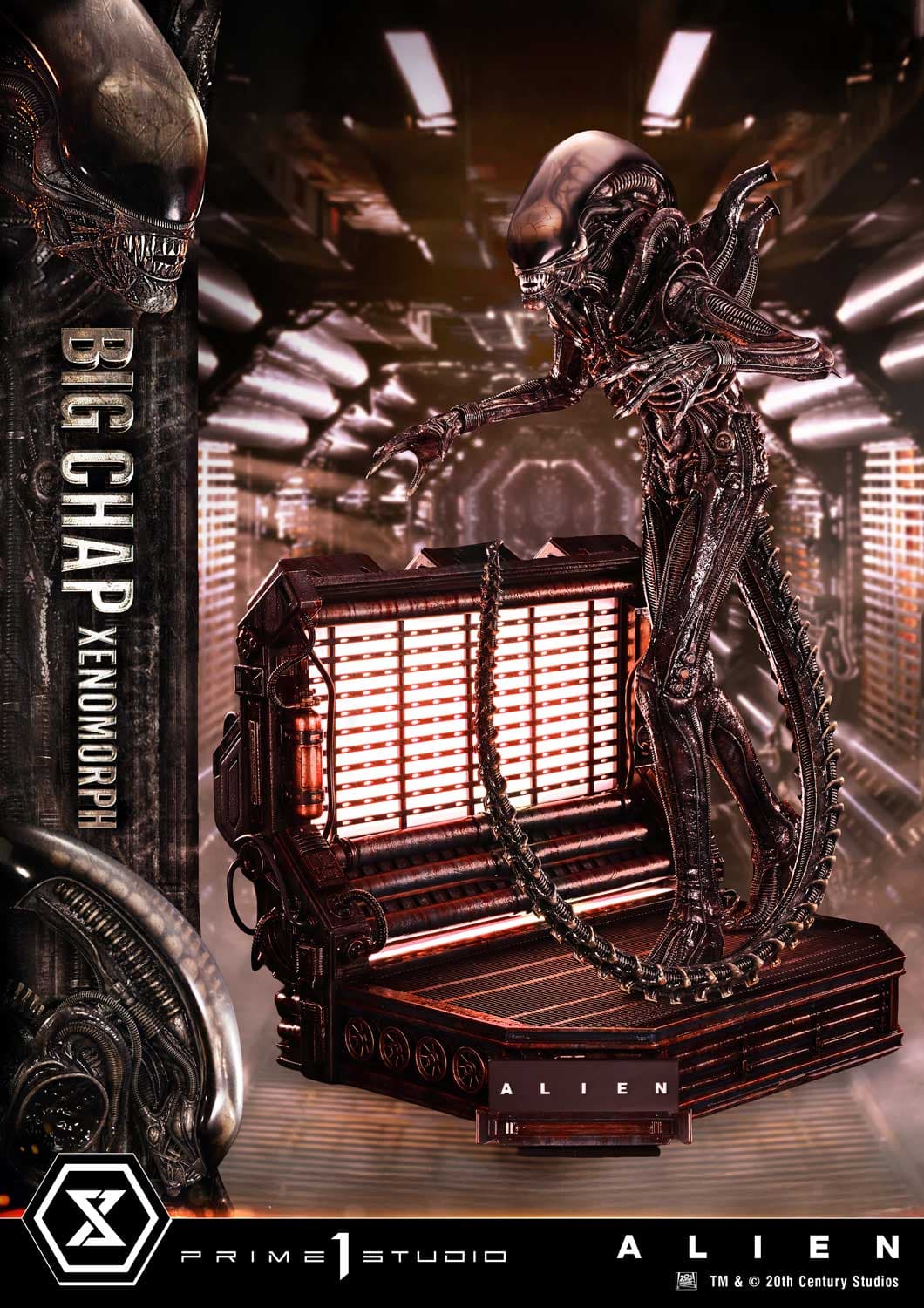 Big Chap Xenomorph (Version Bonus) - Museum Masterline XL - Vue 6