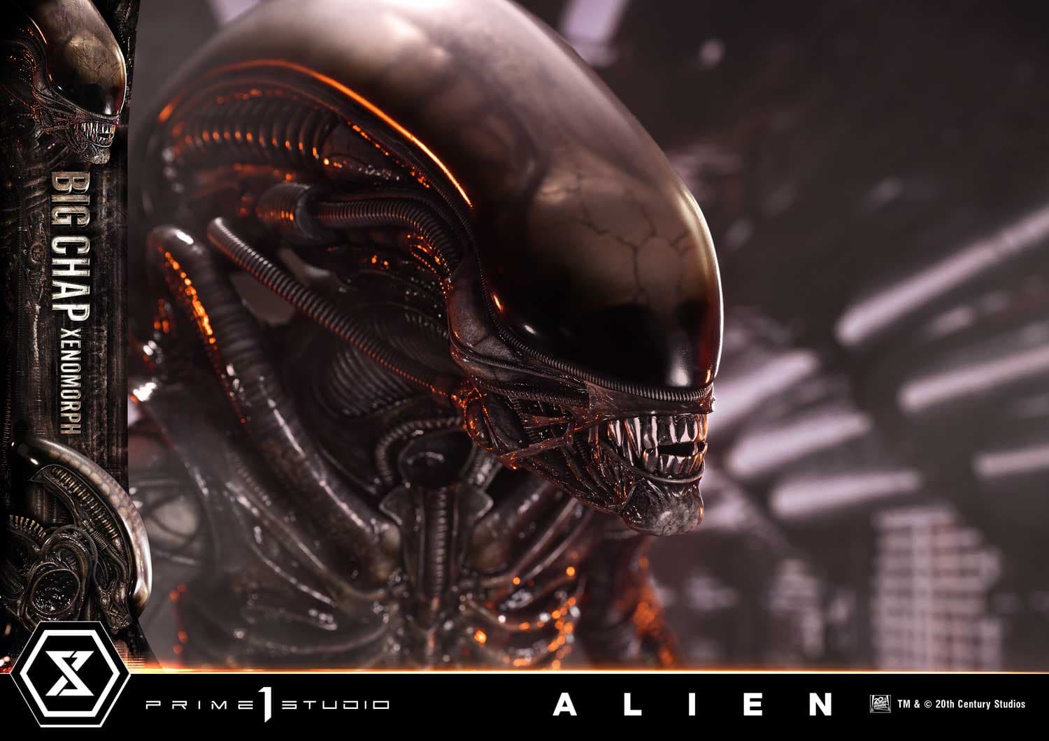 Big Chap Xenomorph (Version Bonus) - Museum Masterline XL - Vue 7