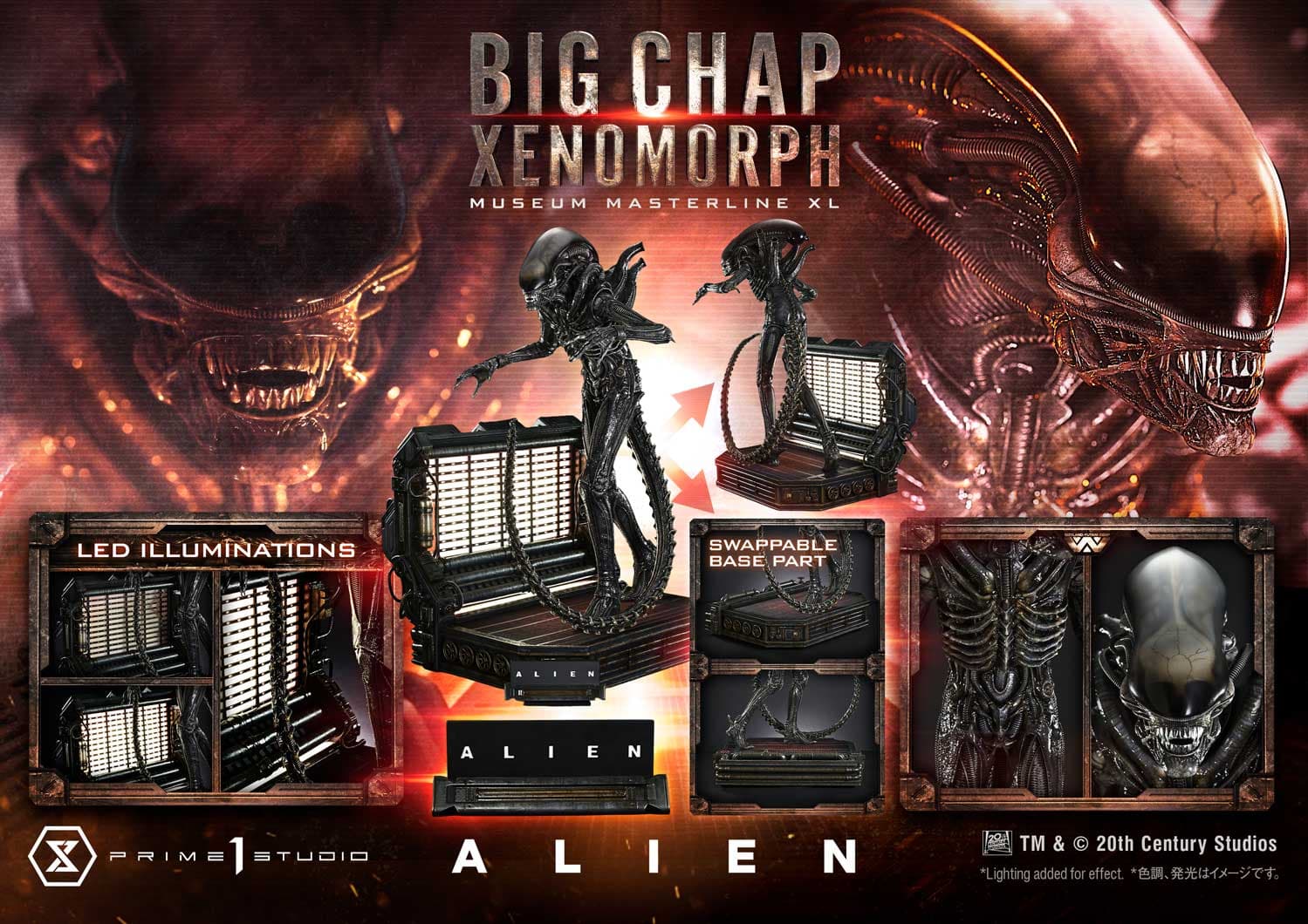 Big Chap Xenomorph (Version Bonus) - Museum Masterline XL - Vue 8