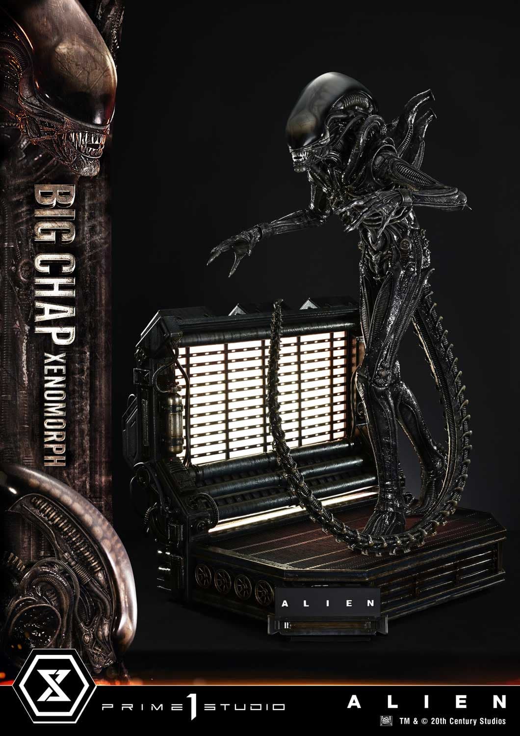 Big Chap Xenomorph (Version Bonus) - Museum Masterline XL - Vue 11