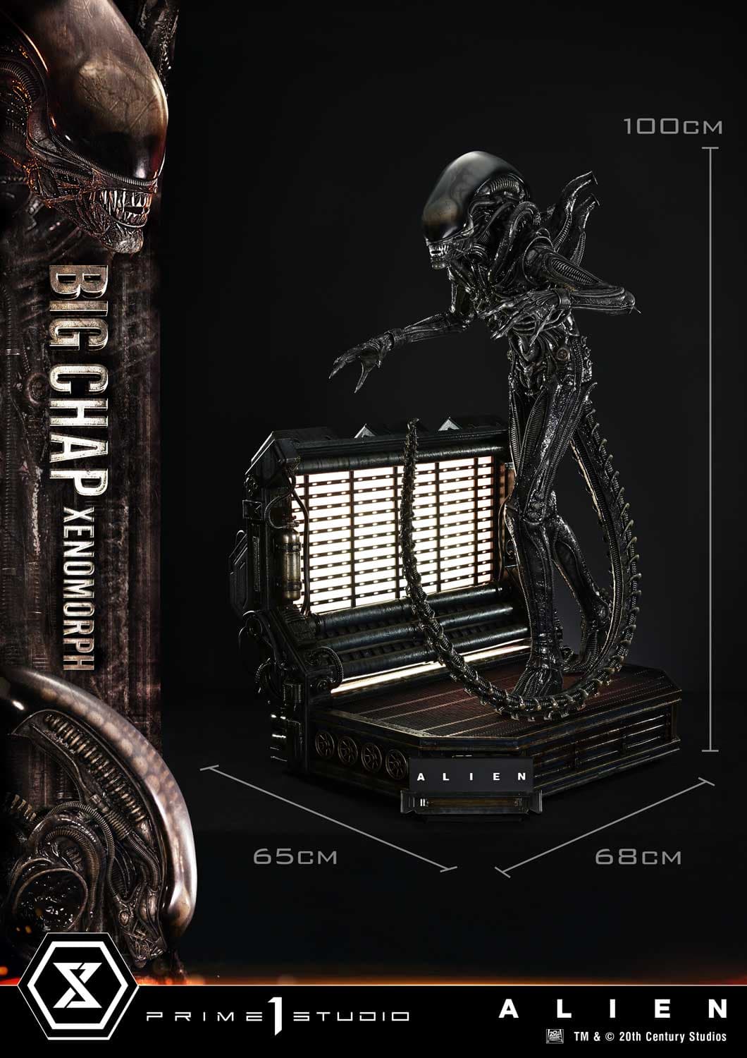 Big Chap Xenomorph (Version Bonus) - Museum Masterline XL - Vue 12