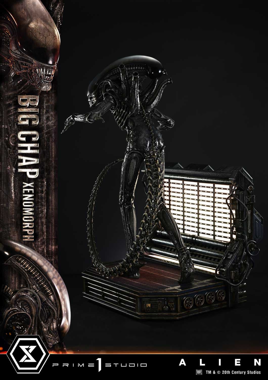 Big Chap Xenomorph (Version Bonus) - Museum Masterline XL - Vue 13