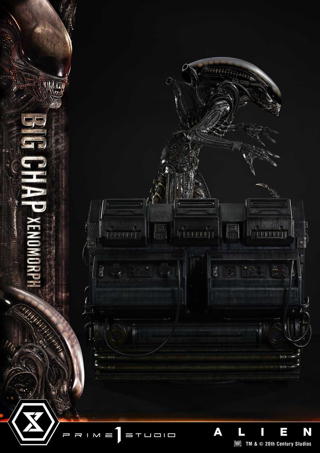 Big Chap Xenomorph (Version Bonus) - Museum Masterline XL - Vue 14