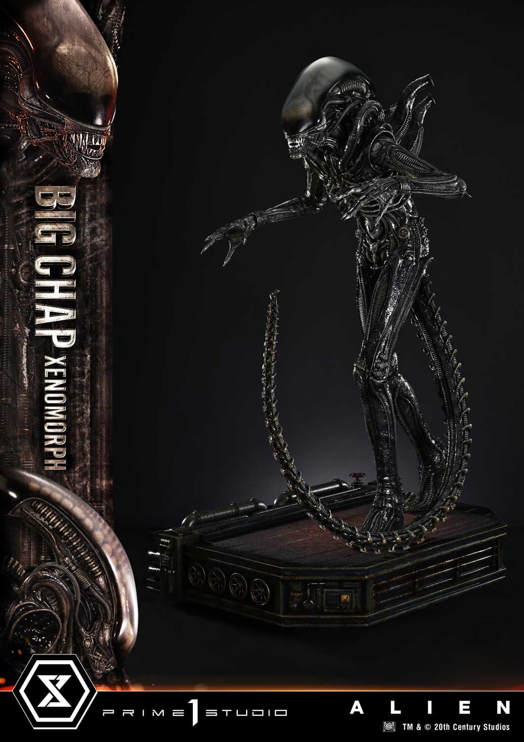 Big Chap Xenomorph (Version Bonus) - Museum Masterline XL - Vue 15