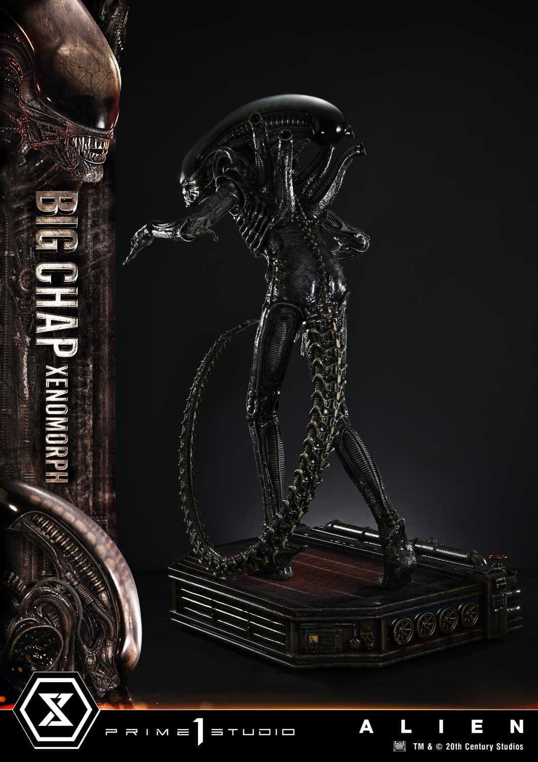 Big Chap Xenomorph (Version Bonus) - Museum Masterline XL - Vue 16