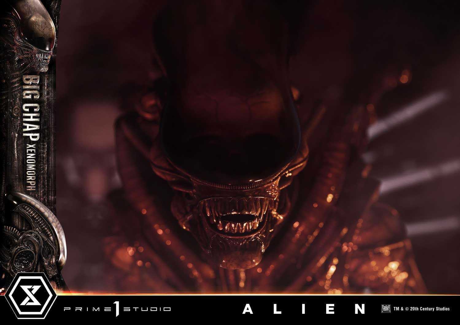 Big Chap Xenomorph (Version Bonus) - Museum Masterline XL - Vue 17