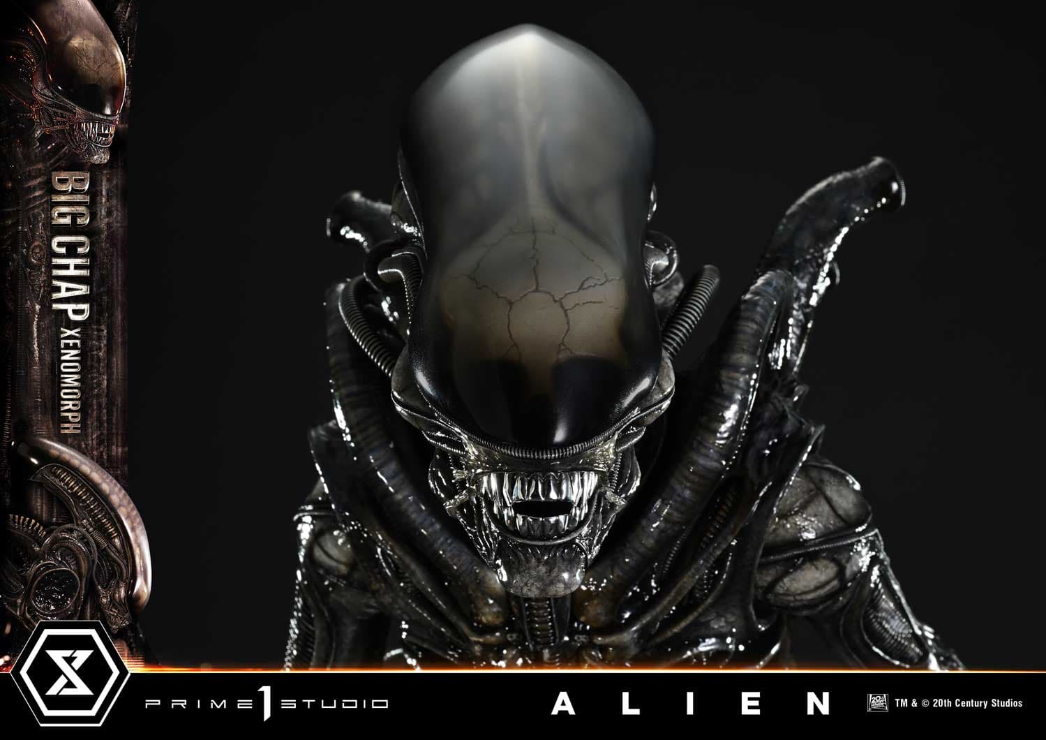 Big Chap Xenomorph (Version Bonus) - Museum Masterline XL - Vue 18