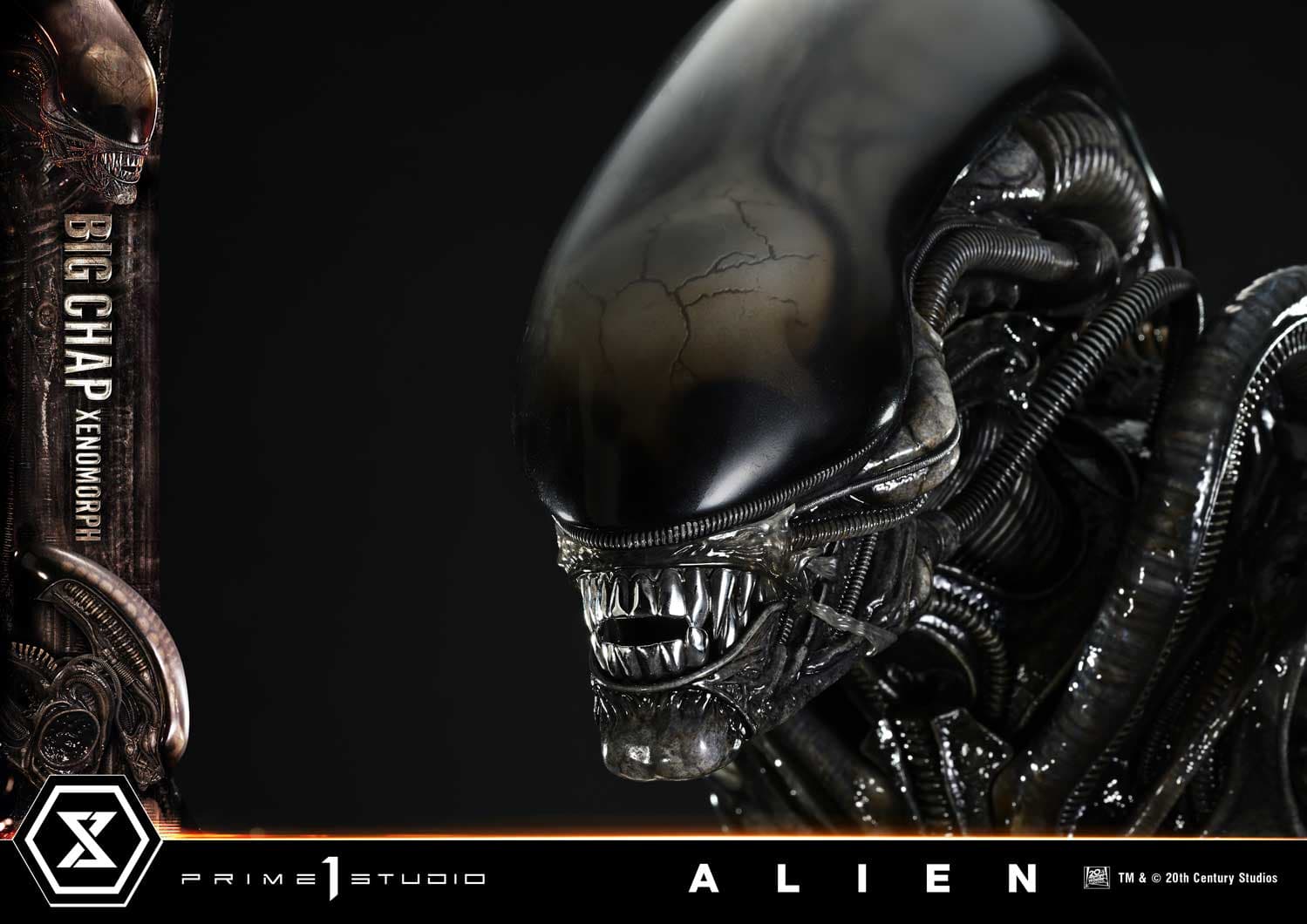 Big Chap Xenomorph (Version Bonus) - Museum Masterline XL - Vue 19