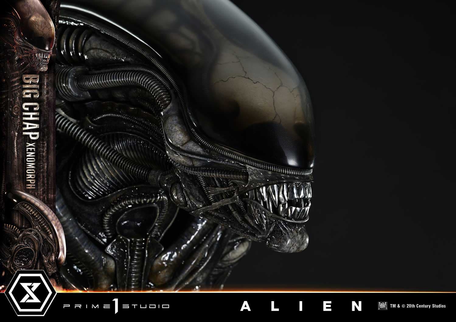 Big Chap Xenomorph (Version Bonus) - Museum Masterline XL - Vue 20