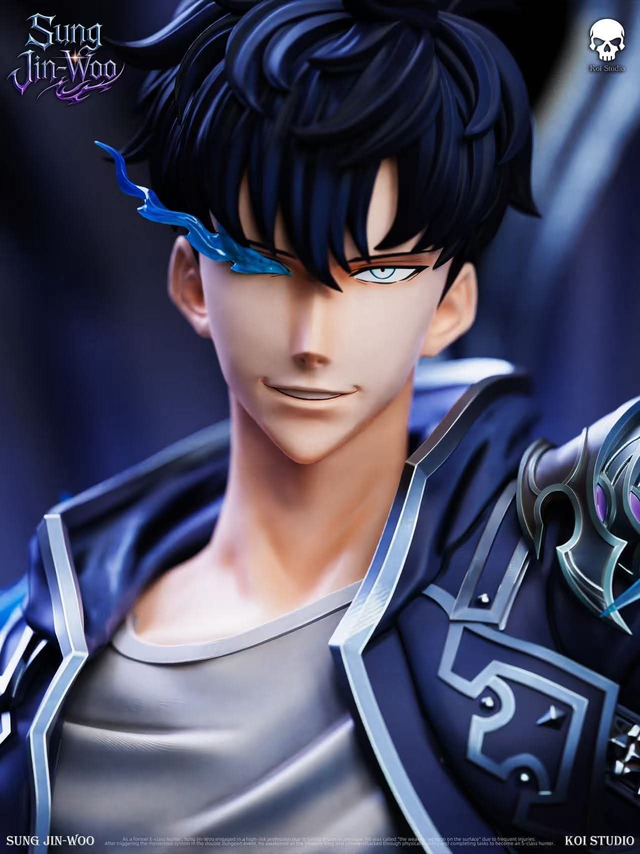 Sung Jin Woo - Vue 6