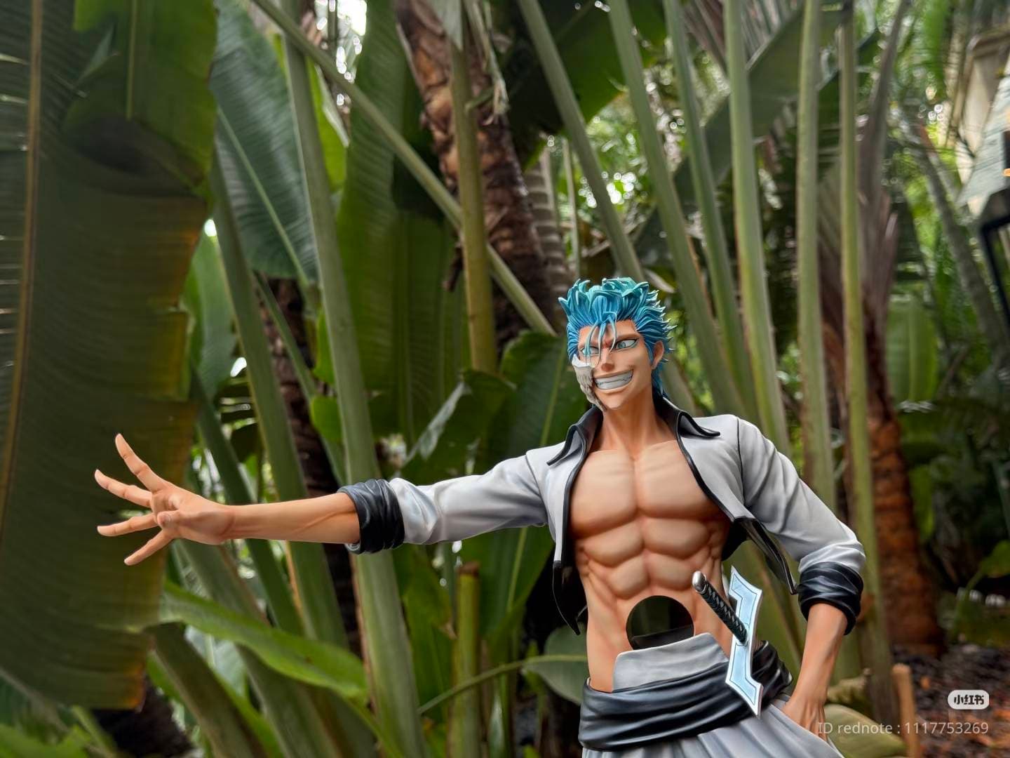 Grimmjow Jeagerjaques (1/4) - Vue 11