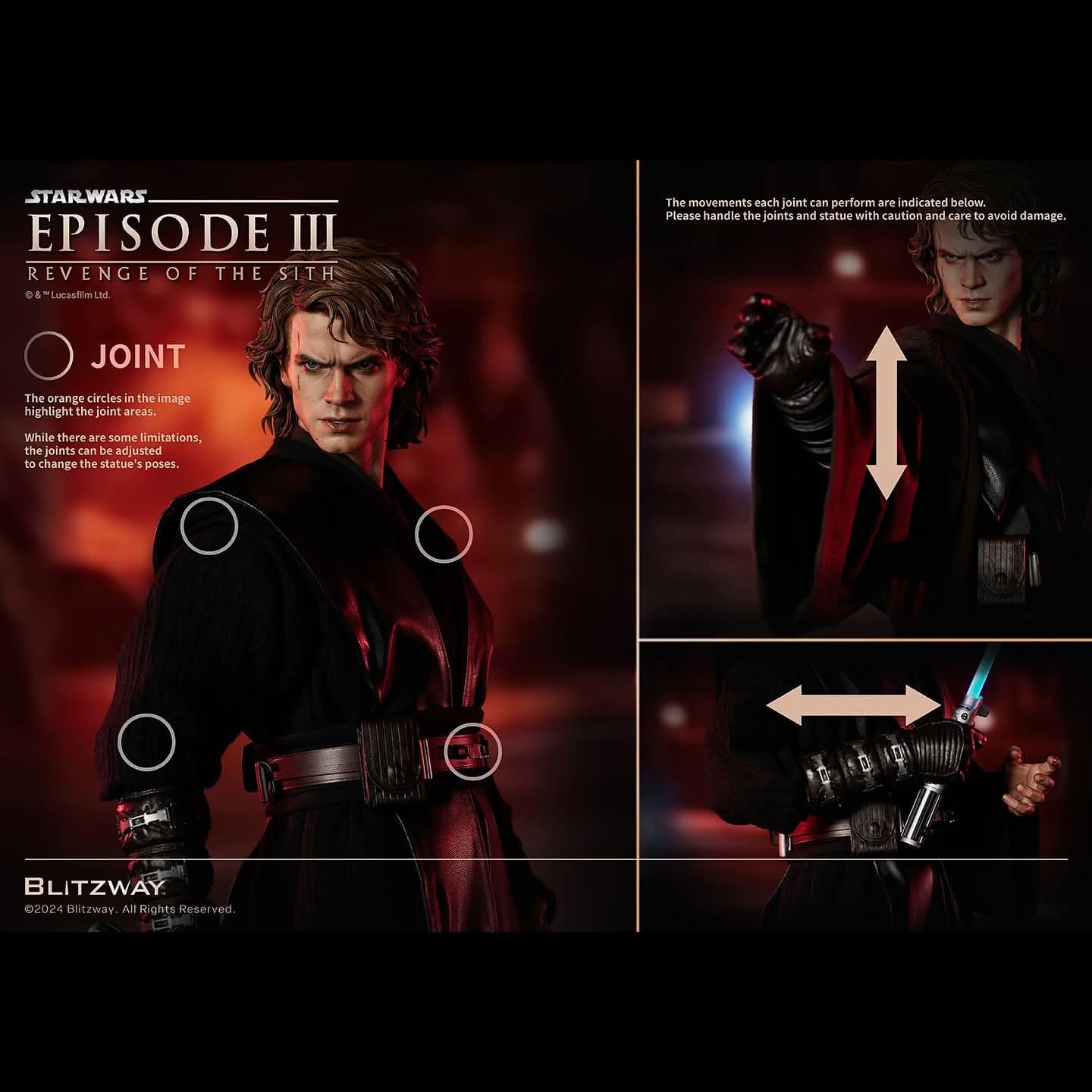Anakin (Version Standard) - Vue 9