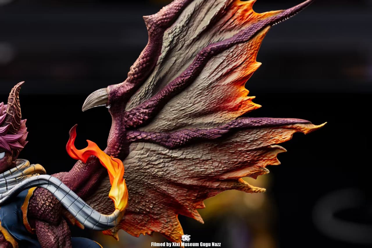 Natsu Dragneel - Vue 6