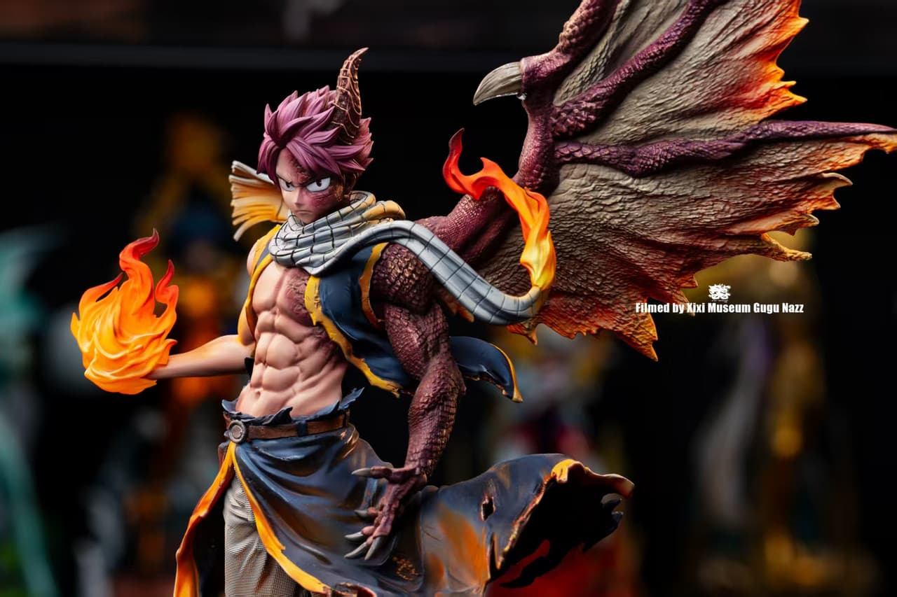 Natsu Dragneel - Vue 8