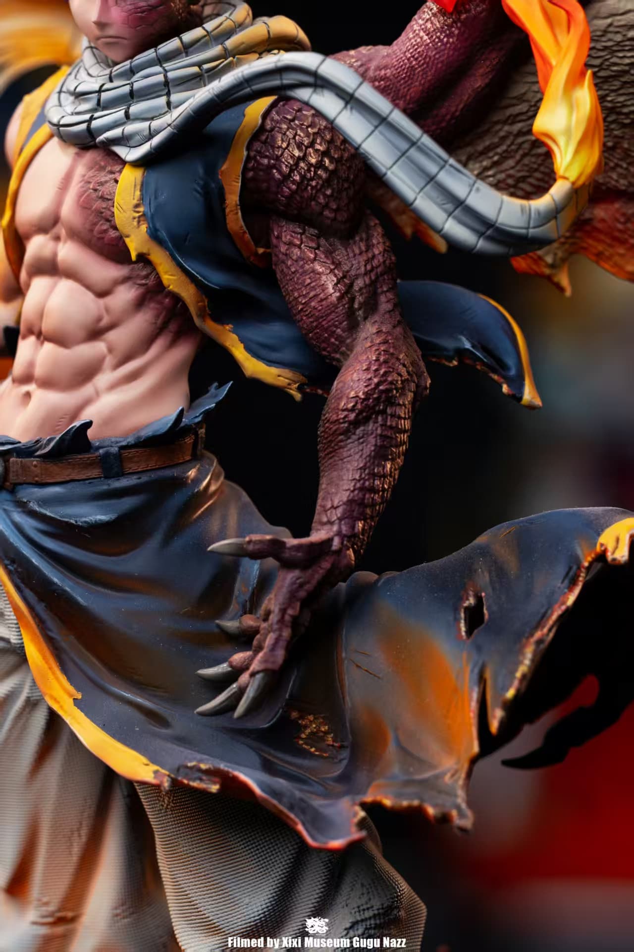 Natsu Dragneel - Vue 9