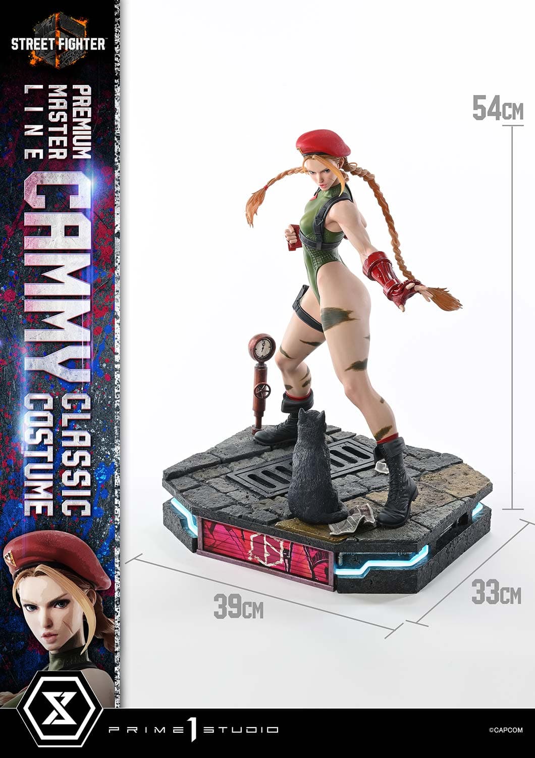 Cammy Classic Costume (Version Regular) - Vue 7