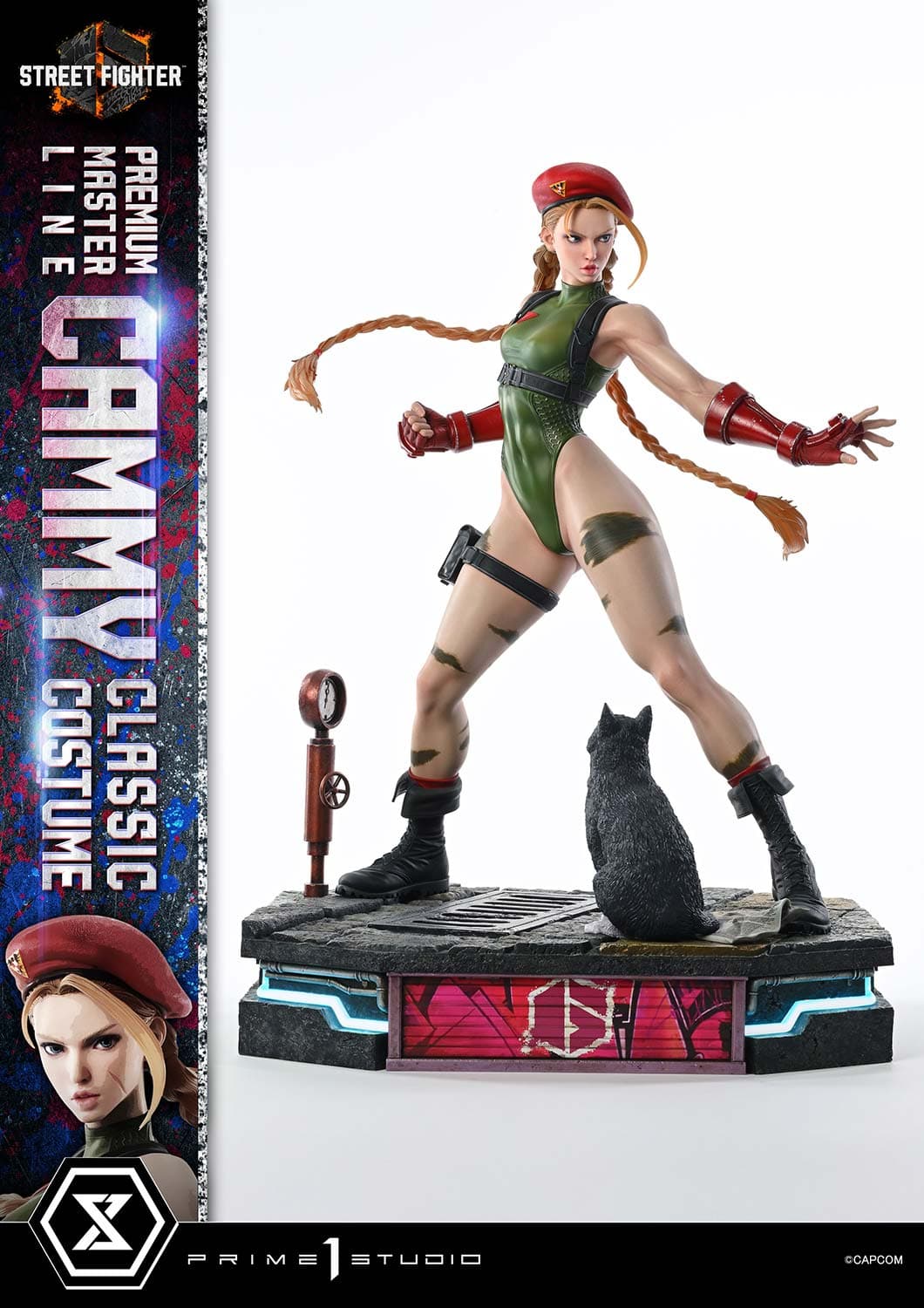 Cammy Classic Costume (Version Regular) - Vue 8
