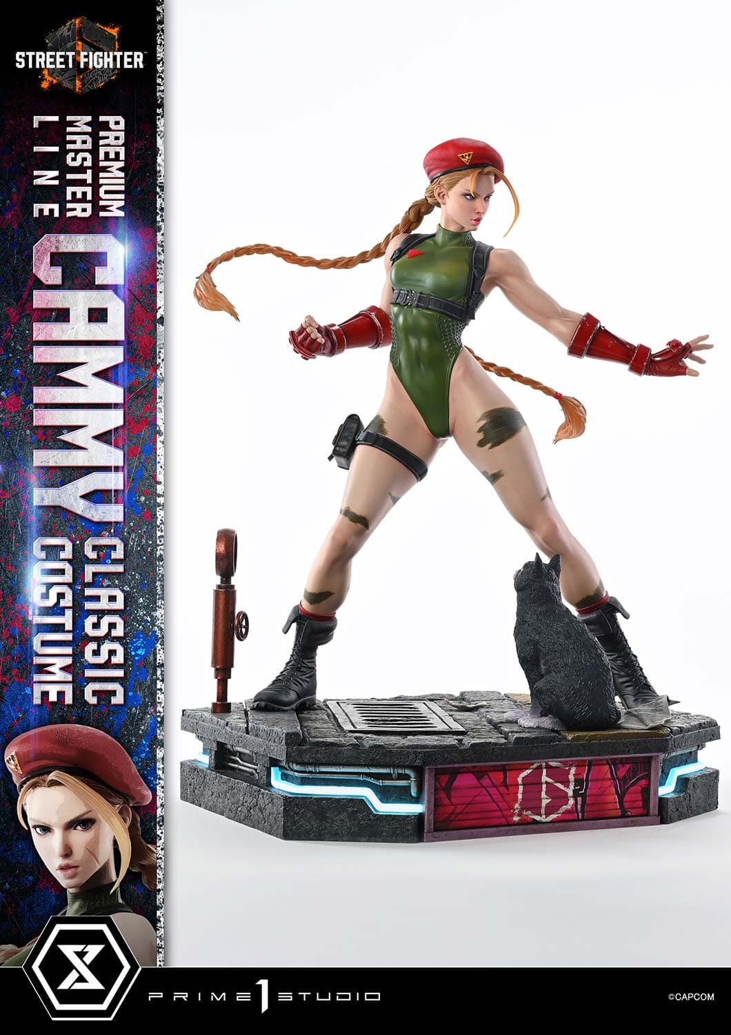 Cammy Classic Costume (Version Regular) - Vue 11