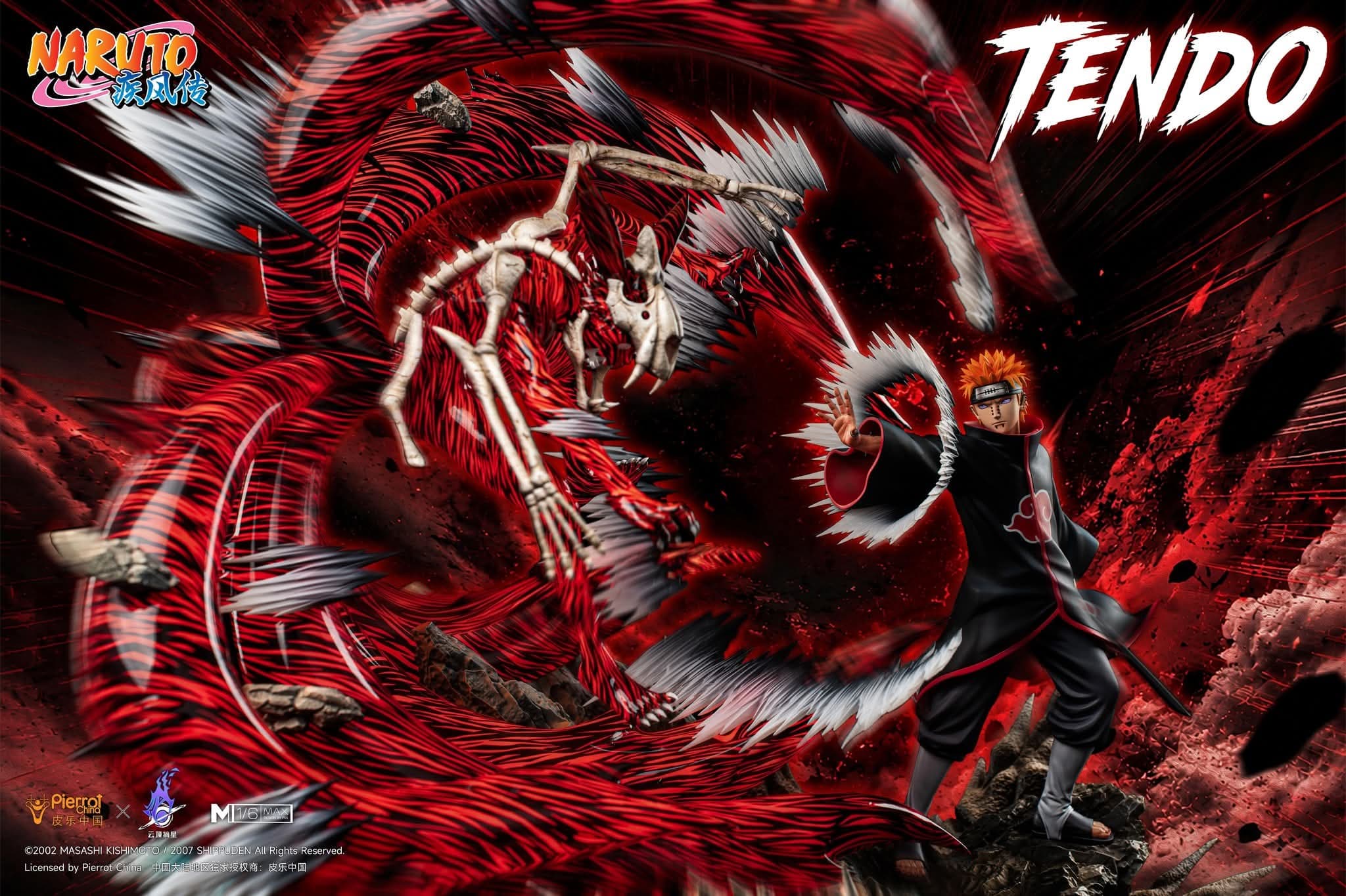 Pain tendo  - Vue 4