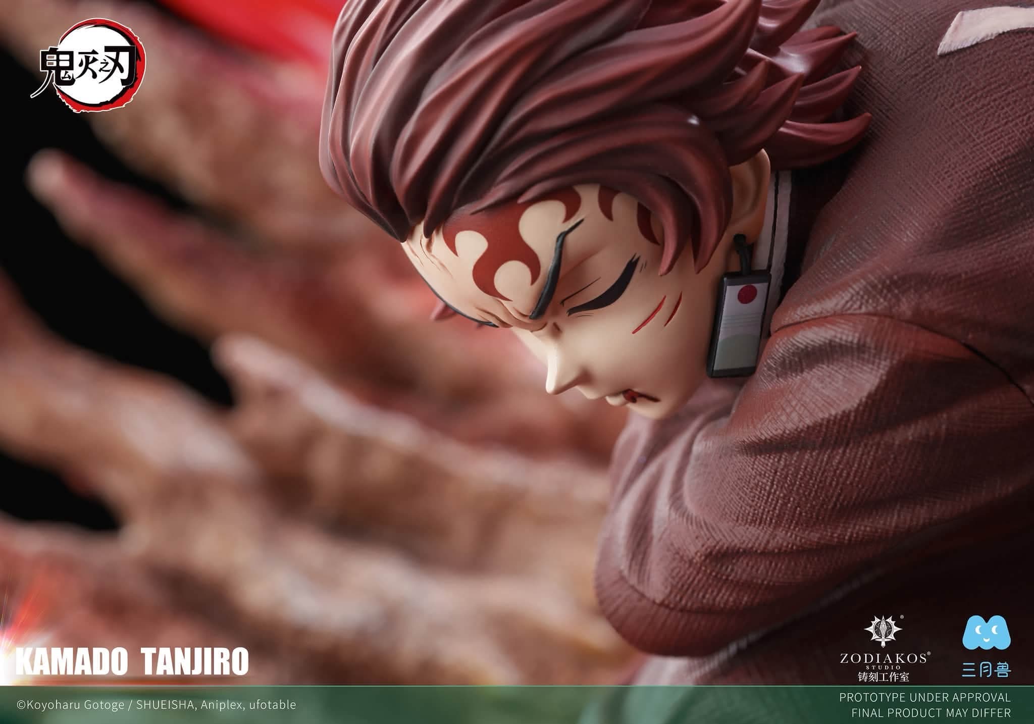 Kamado Tanjiro - Vue 4
